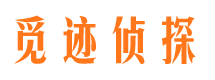 大余市私家侦探